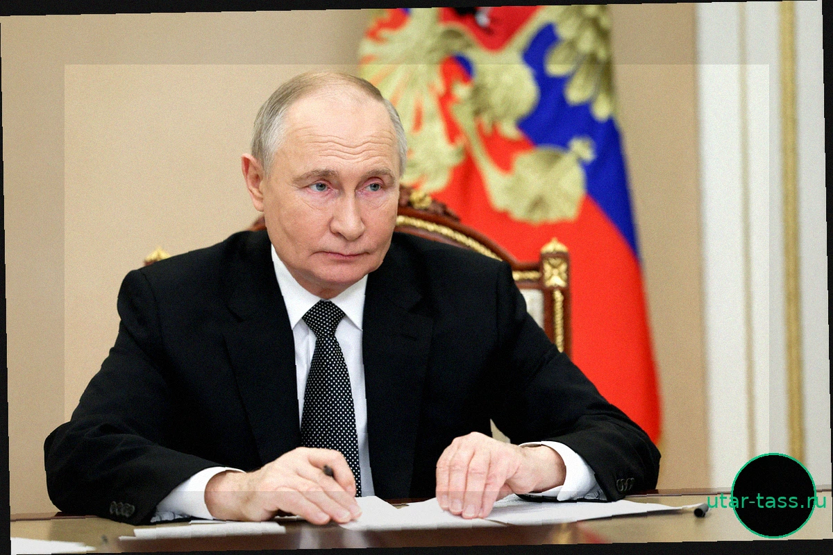 Фицо донес сигналы Зеленского Путину о готовности к встрече: реакция Кремля